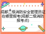成都二级消防安全管理员证在哪里报考(成都二级消防报考点)