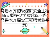 乌鲁木齐初级煤矿安全工程师大概多少学费好就业吗(乌鲁木齐煤安工程师就业学费)