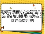 乌海高级消防安全管理员怎么报名培训费用(乌海安全管理员培训费)