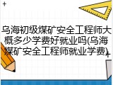 乌海初级煤矿安全工程师大概多少学费好就业吗(乌海煤矿安全工程师就业学费)