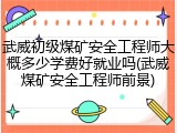 武威初级煤矿安全工程师大概多少学费好就业吗(武威煤矿安全工程师前景)