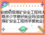 安顺初级煤矿安全工程师大概多少学费好就业吗(安顺煤矿安全工程师学费就业)