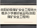 岳阳初级煤矿安全工程师大概多少学费好就业吗(岳阳煤矿安全工程师)