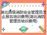 湖北高级消防安全管理员怎么报名培训费用(湖北消防管理员培训费用)