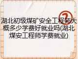 湖北初级煤矿安全工程师大概多少学费好就业吗(湖北煤安工程师学费就业)