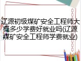 辽源初级煤矿安全工程师大概多少学费好就业吗(辽源煤矿安全工程师学费就业)