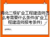 海北二级矿业工程建造师怎么考需要什么条件(矿业工程建造师报考条件)