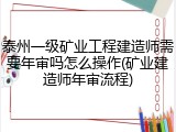 泰州一级矿业工程建造师需要年审吗怎么操作(矿业建造师年审流程)