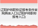 辽阳护师职称证报考条件官网具体入口(辽阳护师职称报考入口)