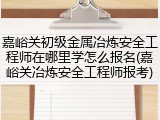 嘉峪关初级金属冶炼安全工程师在哪里学怎么报名(嘉峪关冶炼安全工程师报考)