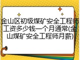 金山区初级煤矿安全工程师工资多少钱一个月通常(金山煤矿安全工程师月薪)