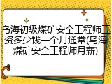 乌海初级煤矿安全工程师工资多少钱一个月通常(乌海煤矿安全工程师月薪)