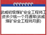 武威初级煤矿安全工程师工资多少钱一个月通常(武威煤矿安全工程师月薪)