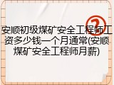 安顺初级煤矿安全工程师工资多少钱一个月通常(安顺煤矿安全工程师月薪)