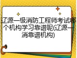 辽源一级消防工程师考试哪个机构学习靠谱呢(辽源一消靠谱机构)