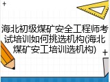 海北初级煤矿安全工程师考试培训如何挑选机构(海北煤矿安工培训选机构)