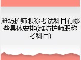 潍坊护师职称考试科目有哪些具体安排(潍坊护师职称考科目)