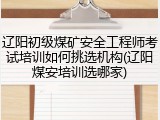 辽阳初级煤矿安全工程师考试培训如何挑选机构(辽阳煤安培训选哪家)