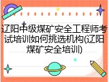 辽阳中级煤矿安全工程师考试培训如何挑选机构(辽阳煤矿安全培训)
