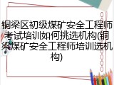 铜梁区初级煤矿安全工程师考试培训如何挑选机构(铜梁煤矿安全工程师培训选机构)
