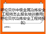 呼伦贝尔中级金属冶炼安全工程师怎么报名培训费用(呼伦贝尔冶炼安全工程师报名)