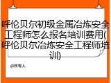 呼伦贝尔初级金属冶炼安全工程师怎么报名培训费用(呼伦贝尔冶炼安全工程师培训)