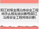 阳江初级金属冶炼安全工程师怎么报名培训费用(阳江冶炼安全工程师培训费)