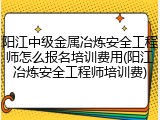 阳江中级金属冶炼安全工程师怎么报名培训费用(阳江冶炼安全工程师培训费)