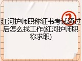 红河护师职称证书考试通过后怎么找工作(红河护师职称求职)