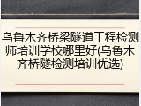 乌鲁木齐桥梁隧道工程检测师培训学校哪里好(乌鲁木齐桥隧检测培训优选)