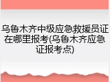 乌鲁木齐中级应急救援员证在哪里报考(乌鲁木齐应急证报考点)