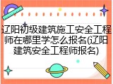 辽阳初级建筑施工安全工程师在哪里学怎么报名(辽阳建筑安全工程师报名)
