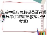 武威中级应急救援员证在哪里报考(武威应急救援证报考点)