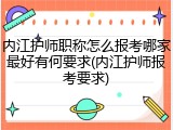 内江护师职称怎么报考哪家最好有何要求(内江护师报考要求)
