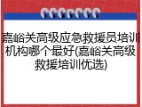 嘉峪关高级应急救援员培训机构哪个最好(嘉峪关高级救援培训优选)