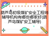 葫芦岛初级煤矿安全工程师辅导机构有哪些哪家好(葫芦岛煤矿安工辅导)