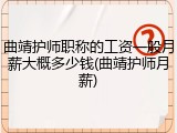 曲靖护师职称的工资一般月薪大概多少钱(曲靖护师月薪)