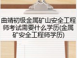 曲靖初级金属矿山安全工程师考试需要什么学历(金属矿安全工程师学历)