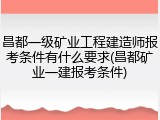 昌都一级矿业工程建造师报考条件有什么要求(昌都矿业一建报考条件)