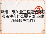 潮州一级矿业工程建造师报考条件有什么要求(矿业建造师报考条件)