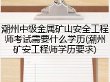 潮州中级金属矿山安全工程师考试需要什么学历(潮州矿安工程师学历要求)