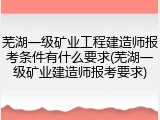 芜湖一级矿业工程建造师报考条件有什么要求(芜湖一级矿业建造师报考要求)