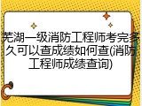 芜湖一级消防工程师考完多久可以查成绩如何查(消防工程师成绩查询)