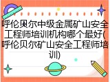 呼伦贝尔中级金属矿山安全工程师培训机构哪个最好(呼伦贝尔矿山安全工程师培训)