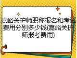 嘉峪关护师职称报名和考试费用分别多少钱(嘉峪关护师报考费用)