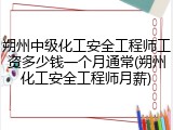 朔州中级化工安全工程师工资多少钱一个月通常(朔州化工安全工程师月薪)