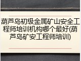 葫芦岛初级金属矿山安全工程师培训机构哪个最好(葫芦岛矿安工程师培训)