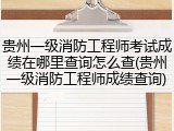 贵州一级消防工程师考试成绩在哪里查询怎么查(贵州一级消防工程师成绩查询)