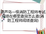 葫芦岛一级消防工程师考试成绩在哪里查询怎么查(消防工程师成绩查询)