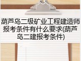 葫芦岛二级矿业工程建造师报考条件有什么要求(葫芦岛二建报考条件)